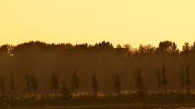 2022 13 en 22 juli 171